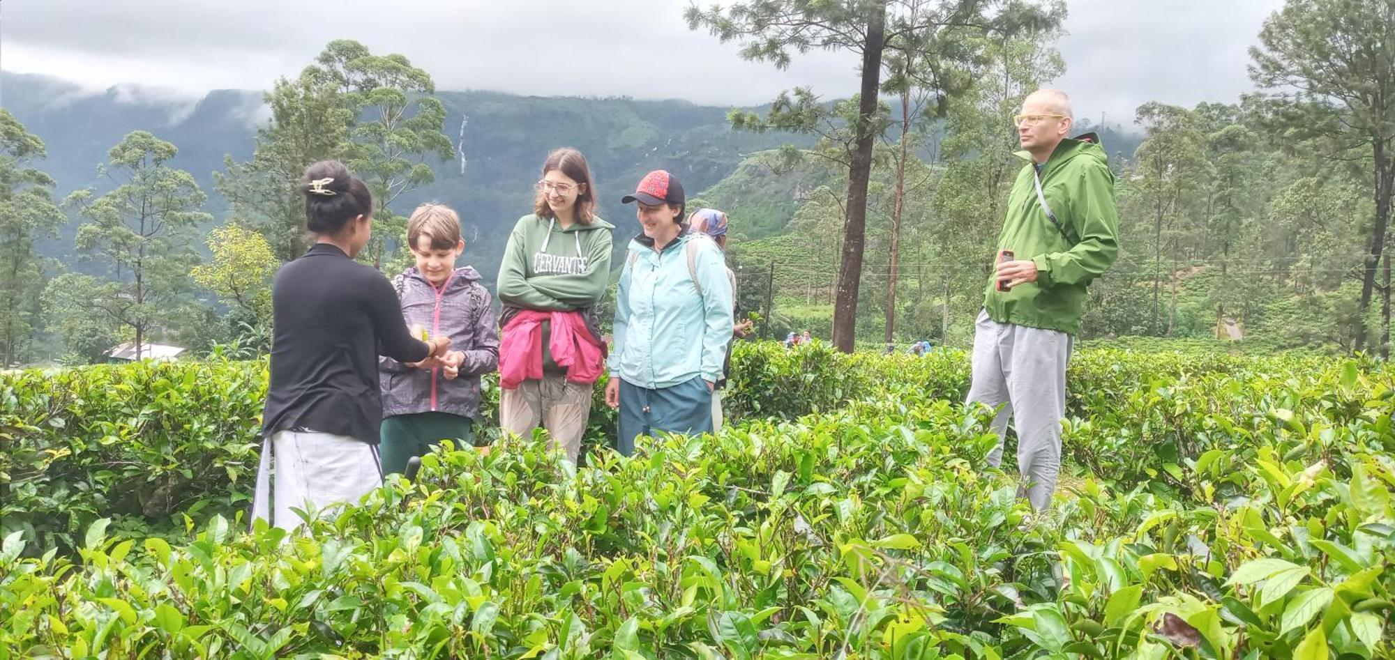 Serenity Heights Nuwara Eliya Kültér fotó